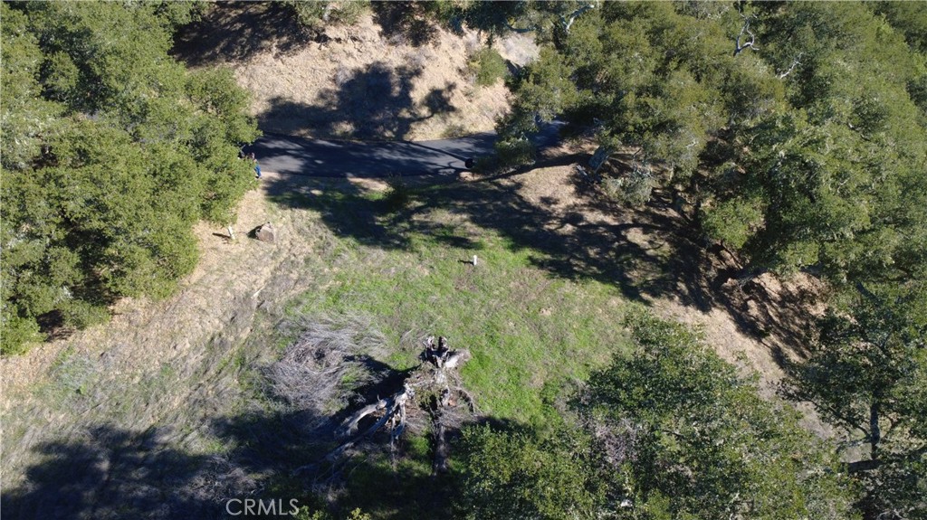 MLS #NS25273520 image #10