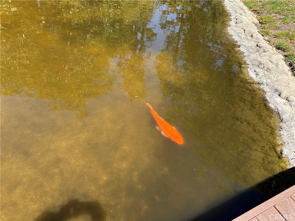 https://media.crmls.org/medias/71565501-9dff-4f2a-80ca-724858285043.jpg?preset=X-Large
