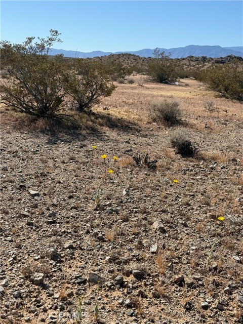 Detail Gallery Image 5 of 8 For 0 Shapaval Ave, Lucerne Valley,  CA 92356 - – Beds | – Baths