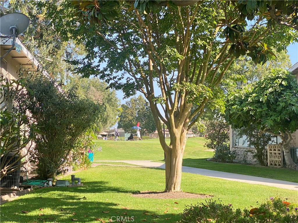 https://media.crmls.org/medias/7157b47e-f6c0-4f33-a609-c5148af969e5.jpg?preset=X-Large