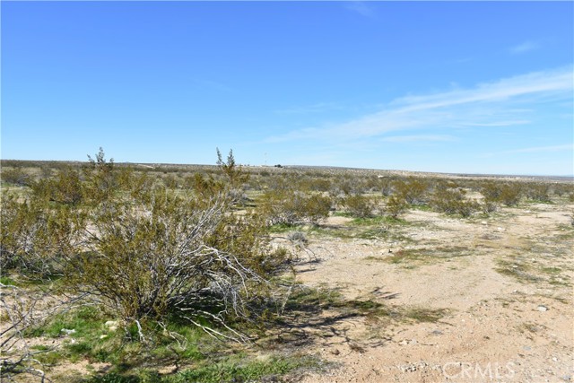 Detail Gallery Image 9 of 31 For 25 Frontier, Helendale,  CA 92342 - – Beds | – Baths