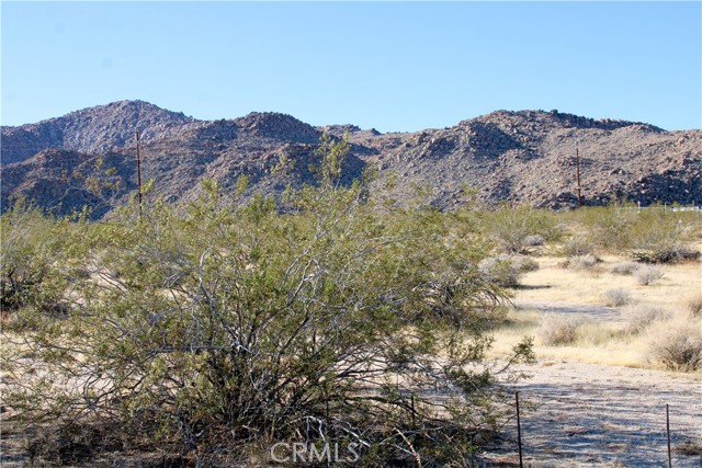 Detail Gallery Image 9 of 14 For 61308104 Dorth Pl, Twentynine Palms,  CA 92277 - – Beds | – Baths