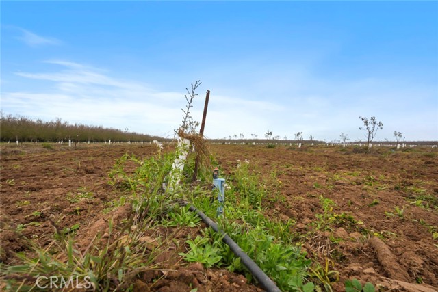 Detail Gallery Image 15 of 47 For 16221 Carrolton, Escalon,  CA 95320 - – Beds | – Baths