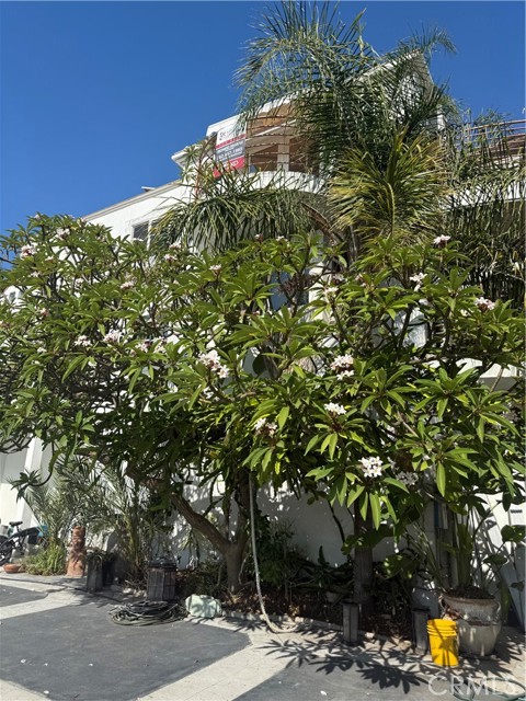1994 Stanley Avenue, Signal Hill CA: https://media.crmls.org/medias/7164188b-e762-4dbe-817f-01eaae5e0574.jpg