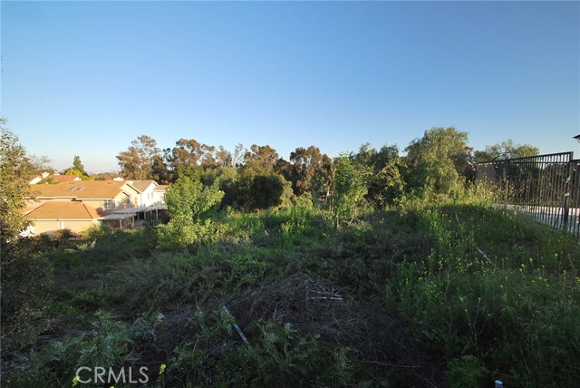 Open space behind the home