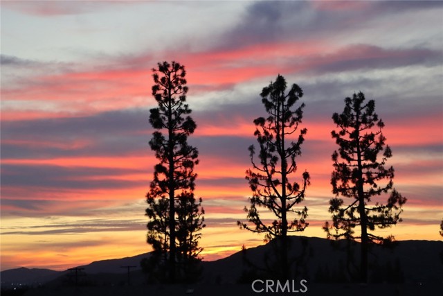 Detail Gallery Image 23 of 23 For 22757 Palm Ave, Grand Terrace,  CA 92313 - 3 Beds | 2 Baths