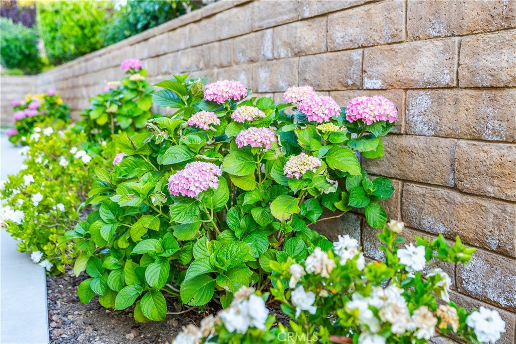 https://media.crmls.org/medias/71685480-b3e8-46ab-a764-da362b9d041b.jpg?preset=X-Large