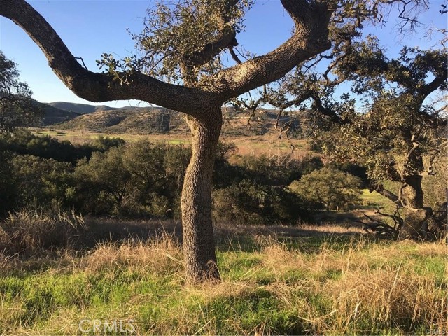 Detail Gallery Image 16 of 27 For 9 La Cruz Drive, Temecula,  CA 92590 - – Beds | – Baths
