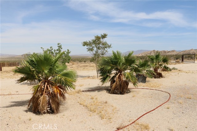 Detail Gallery Image 44 of 48 For 42480 Buckeye Ln, Lucerne Valley,  CA 92356 - 2 Beds | 2 Baths