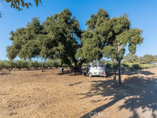 Detail Gallery Image 19 of 67 For 1845 Lupine L Ln, Templeton,  CA 93446 - 2 Beds | 1 Baths