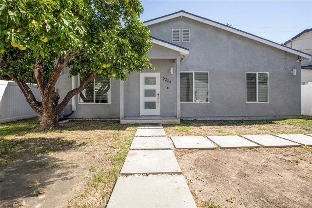 6206 Camellia photo 68