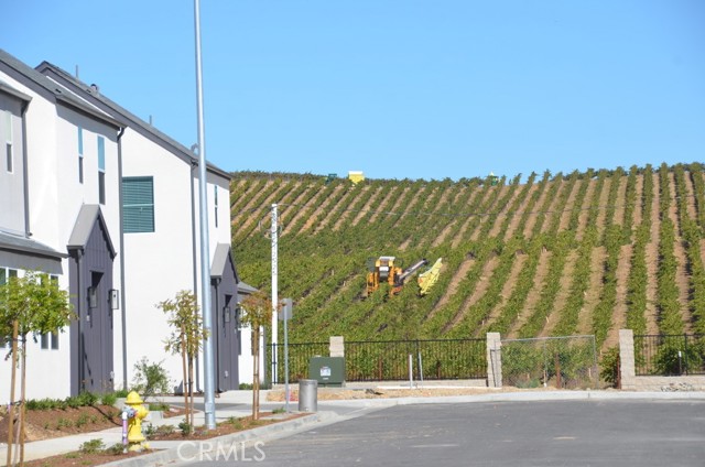 Detail Gallery Image 6 of 15 For 3492 Tancredi Lane, Paso Robles,  CA 93446 - – Beds | – Baths