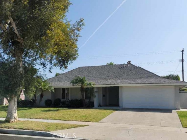 Front Image Thumbnail for CROC26061406