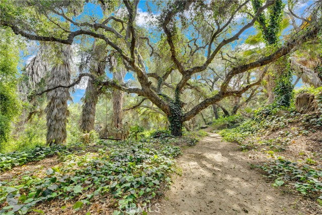 Detail Gallery Image 73 of 75 For 3013 Olive Hill, Fallbrook,  CA 92028 - 3 Beds | 2/1 Baths
