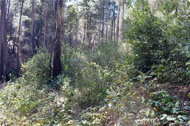 Detail Gallery Image 30 of 52 For 0 Toyon Trl, Berry Creek,  CA 95916 - – Beds | – Baths