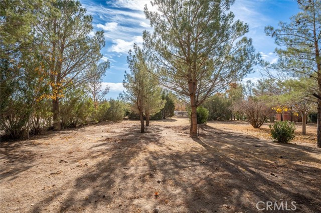 Detail Gallery Image 45 of 65 For 40323 22nd St, Palmdale,  CA 93551 - 3 Beds | 2 Baths