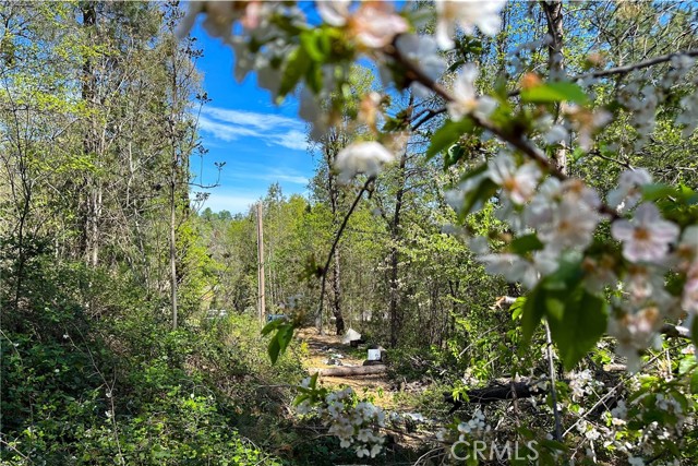 Detail Gallery Image 13 of 29 For 21138 Big Oak Ln, Lakehead,  CA 96051 - – Beds | – Baths