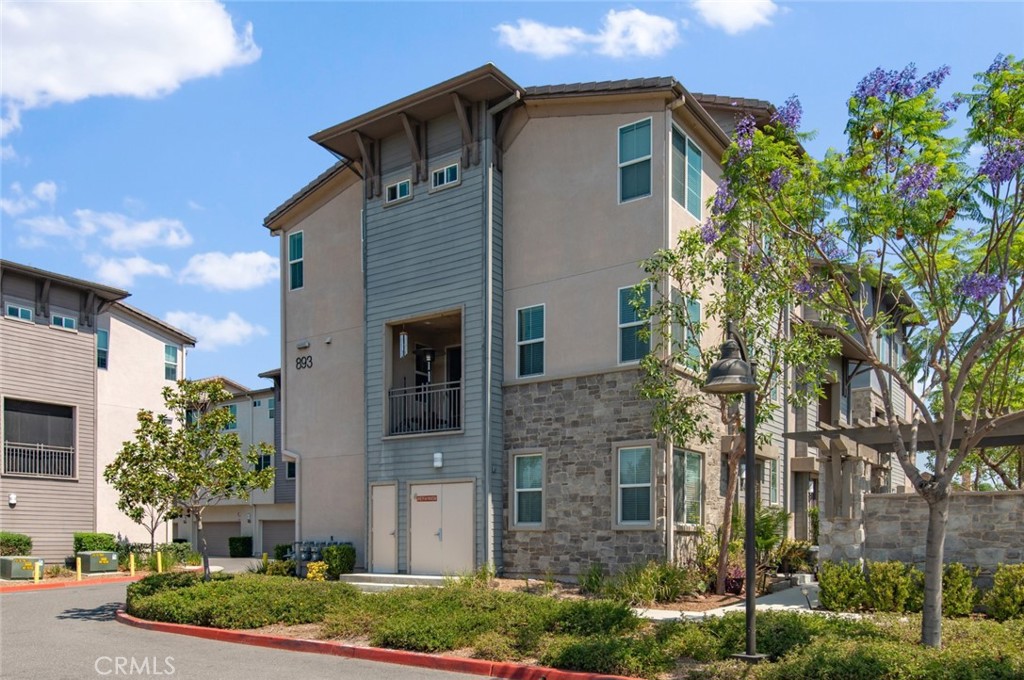 893 Tangelo Way #101