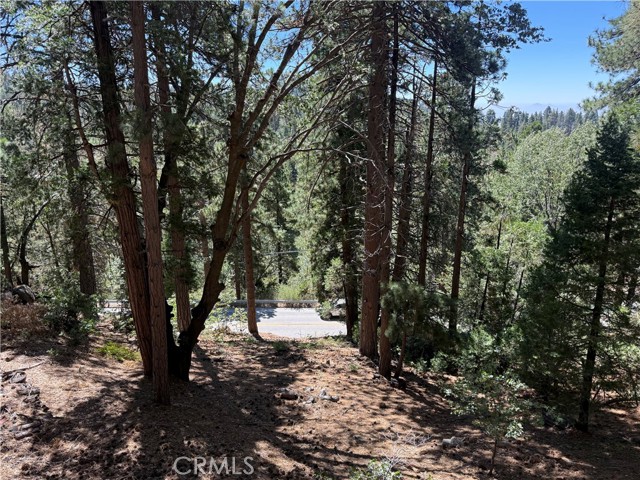 32375 Scandia Dr, Running Springs, CA 92382