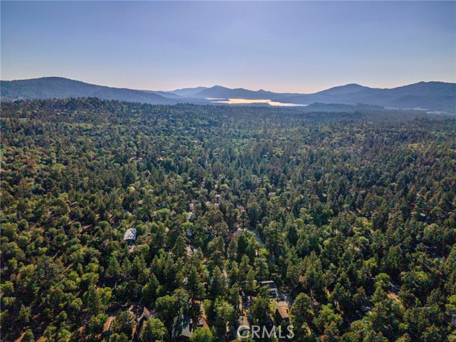 Detail Gallery Image 11 of 11 For 873 Holmes Lane, Sugarloaf,  CA 92386 - 3 Beds | 1/1 Baths