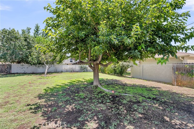 4520 Linwood Place, Riverside CA: https://media.crmls.org/medias/71a4bece-eadc-4627-97de-37782e469dfc.jpg