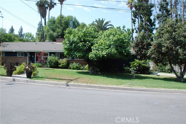 360 Campbell Avenue, Redlands CA: https://media.crmls.org/medias/71aef216-11dd-4284-b1dd-5b37dc4b6379.jpg
