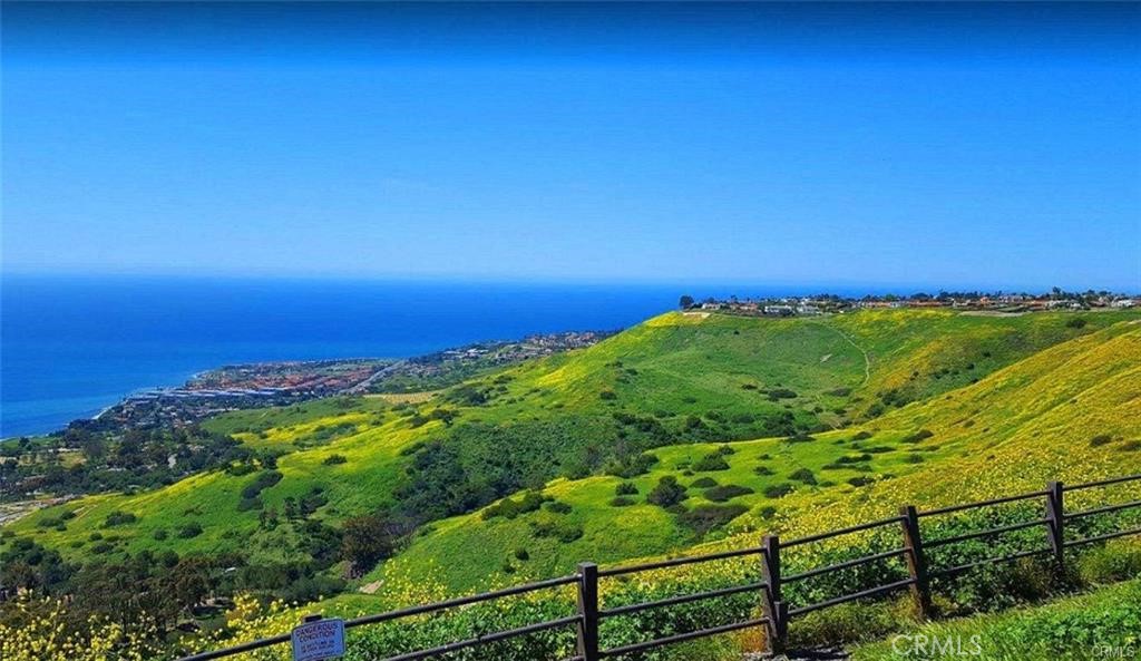 MLS #SW25229669 image #12