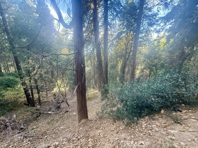 61 Lot - El Valle Road, Cedarpines Park CA: https://media.crmls.org/medias/71bdac44-c63c-4d28-886b-5f0874a381fe.jpg