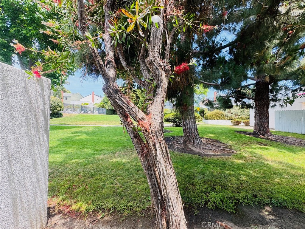 https://media.crmls.org/medias/71c1a548-e697-4e4a-ae66-f0d12de36ea7.jpg?preset=X-Large