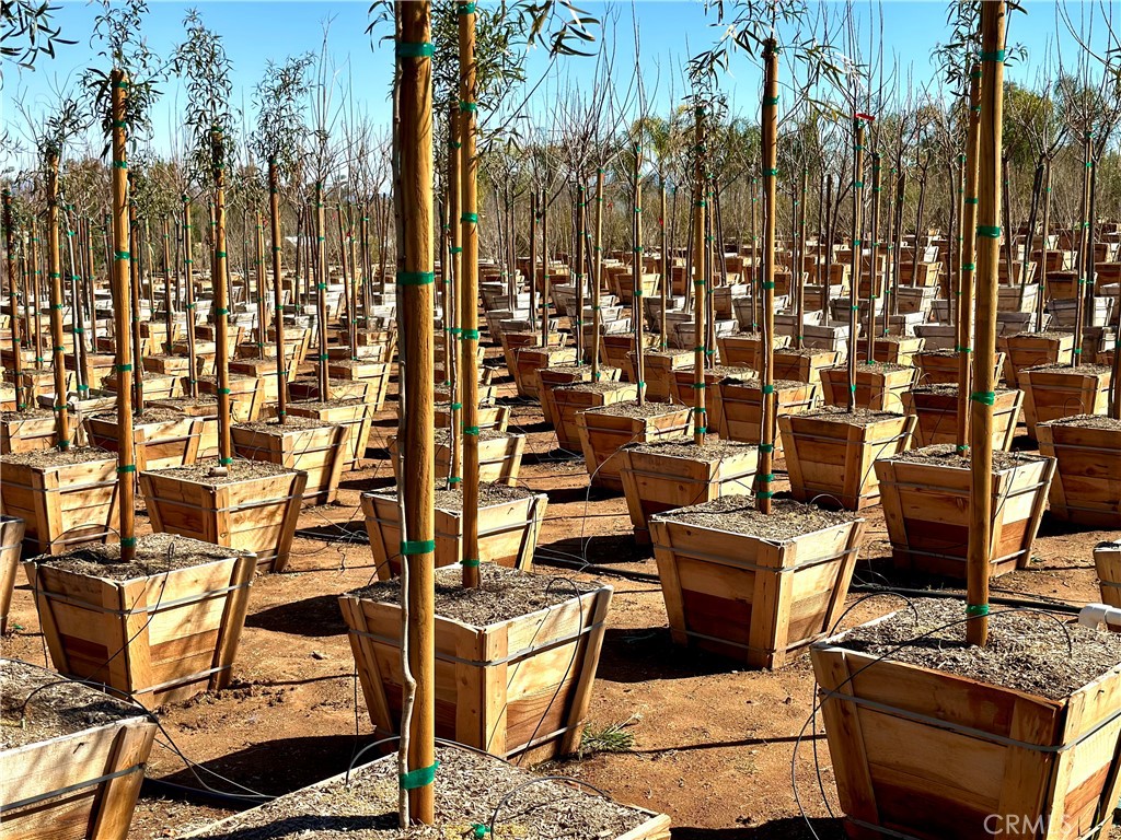 MLS #IV25035655 image #23