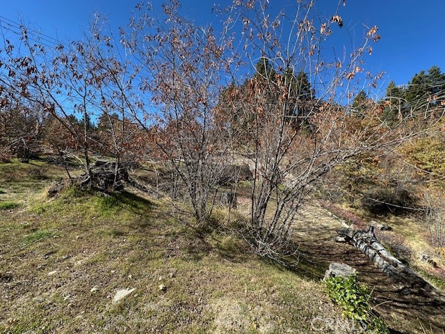 Detail Gallery Image 3 of 31 For 2379 Chicago Dr, Running Springs,  CA 92382 - – Beds | – Baths