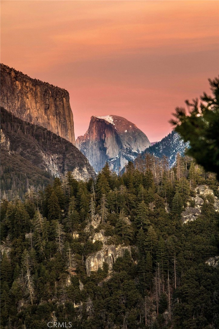https://media.crmls.org/medias/71cdcc59-efac-4919-96ba-62a2a747c907.jpg?preset=X-Large
