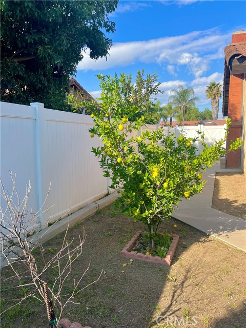 24931 Heil Drive, Moreno Valley CA: https://media.crmls.org/medias/71cece8a-383d-4c96-bb53-ba7558751a36.jpg