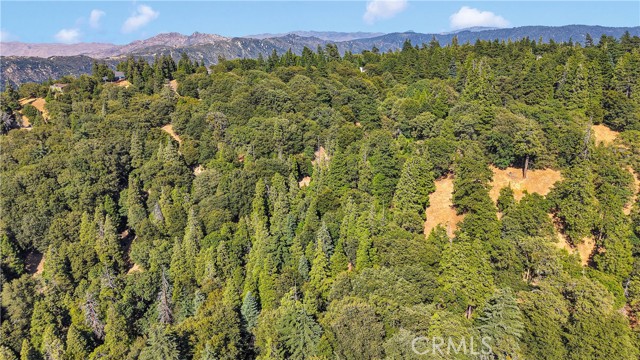 0 Mojave River Road, Cedarpines Park CA: https://media.crmls.org/medias/71cf0ed6-3090-4a23-b8cd-5426e5da80fd.jpg