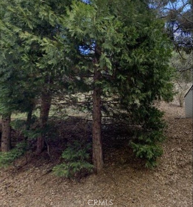 0 Dart Canyon Road, Crestline CA: https://media.crmls.org/medias/71cf7ed8-98e7-4bfd-b9d5-d39bbcd65e0d.jpg