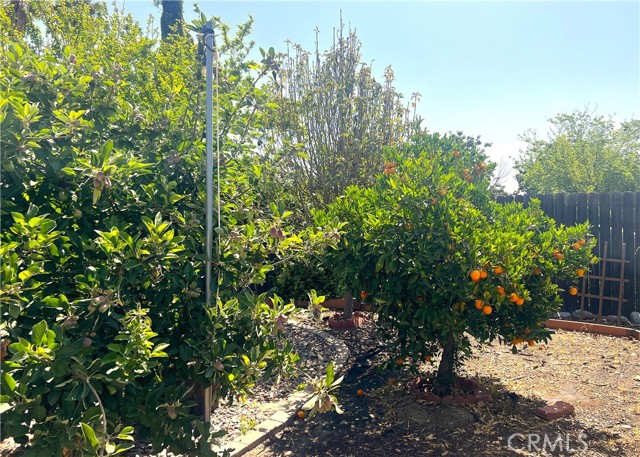 Image 17 of 24 For 31768 Via Verde