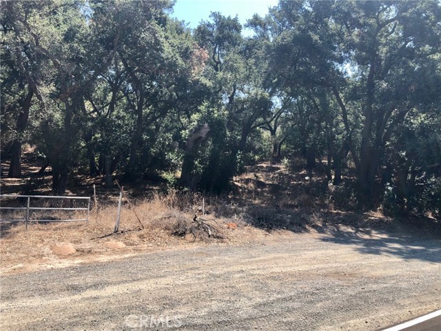 19334 Live Oak Canyon, Trabuco Canyon, California 92679, ,Land,For Sale,19334 Live Oak Canyon,CROC20188806