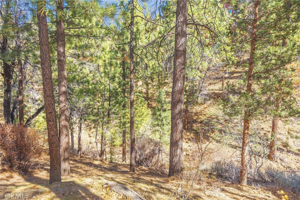 MLS #IG25263616 image #33