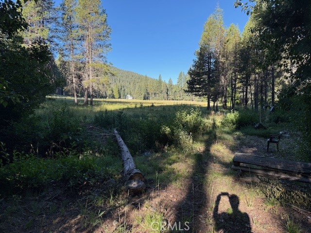 9002 Humboldt Road, Jonesville CA: https://media.crmls.org/medias/71ddae0e-8205-4309-8cea-9dc877e18824.jpg