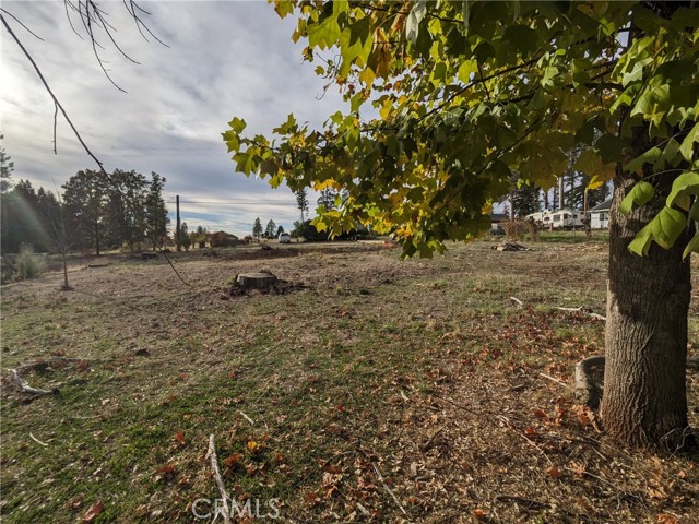 6642 Whittall Lane, Paradise, California 95969, ,Land,For Sale,6642 Whittall Lane,CRSN23205819