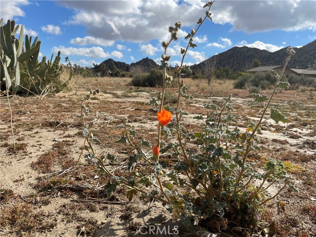 Detail Gallery Image 6 of 12 For 0 Minna Gombell Road, Pioneertown,  CA 92268 - – Beds | – Baths