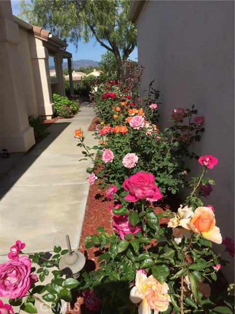 Detail Gallery Image 51 of 53 For 40083 Corte Lorca, Murrieta,  CA 92562 - 2 Beds | 2 Baths