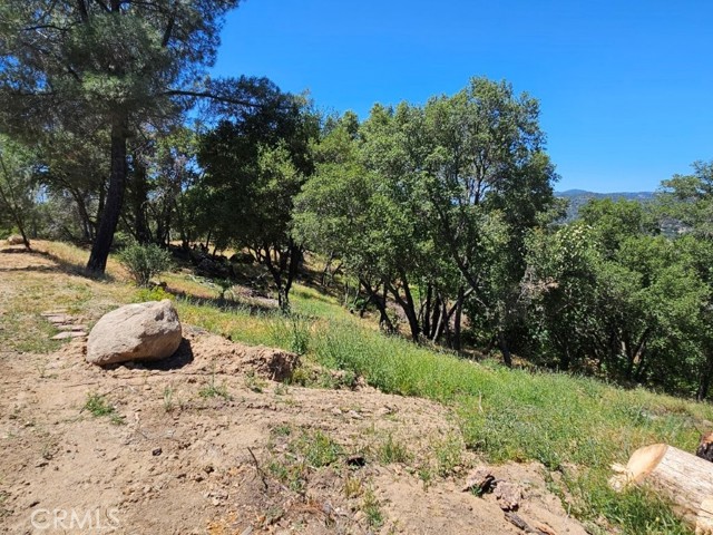 4223 Woodview Lane, Mariposa CA: https://media.crmls.org/medias/71e5cf61-02a7-4adf-b13c-e1194b97b8ed.jpg