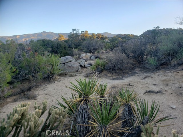 Detail Gallery Image 11 of 49 For 1 Sun Terrace, Mountain Center,  CA 92561 - – Beds | – Baths