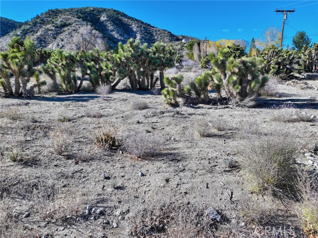 Detail Gallery Image 7 of 15 For 7325 Desert Front Rd, Pinon Hills,  CA 92397 - – Beds | – Baths