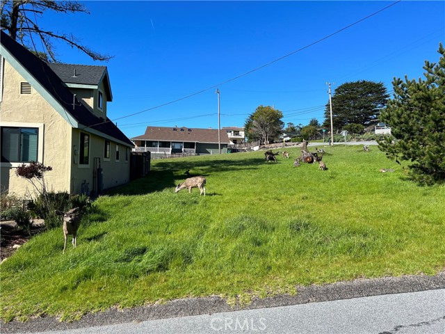 399 Fallbrook Street, Cambria, California 93428, ,Land,For Sale,399 Fallbrook Street,CRSC23192533