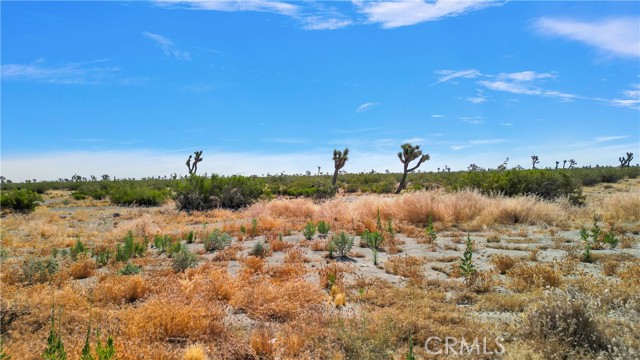 Detail Gallery Image 14 of 19 For 0 Palmadale Rd, Pinon Hills,  CA 92372 - – Beds | – Baths