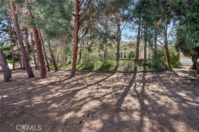 Detail Gallery Image 55 of 68 For 24966 Tyler Pl, Murrieta,  CA 92562 - 6 Beds | 3/1 Baths