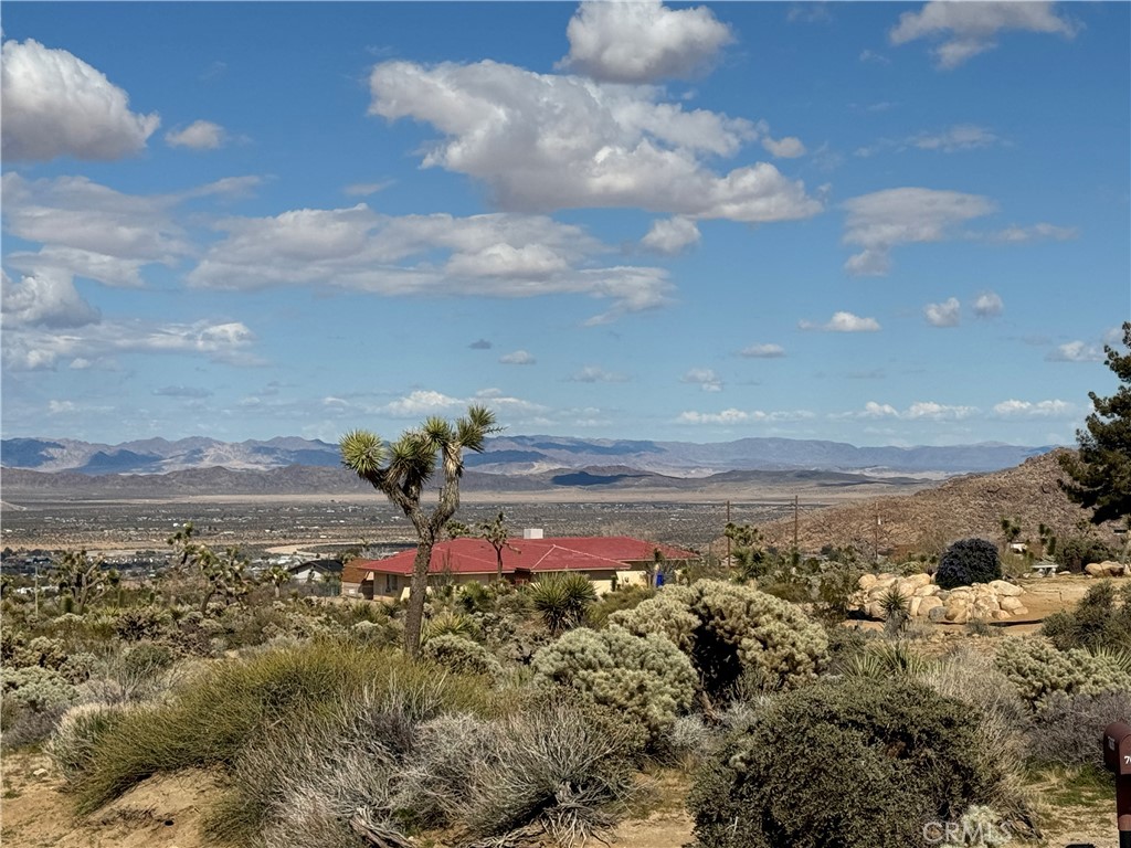 MLS #JT24057098 image #3