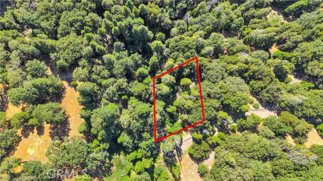 0 Mojave River Road, Cedarpines Park CA: https://media.crmls.org/medias/71fe3bc9-9e64-446d-aead-f4fcbb1ffa6e.jpg